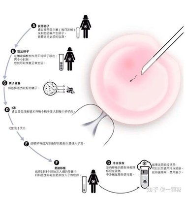 深圳三代试管婴儿费用大约多少？成功率高吗？