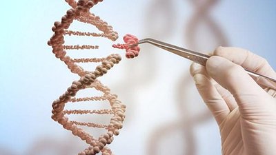 2025北京第三代试管婴儿价格是多少？