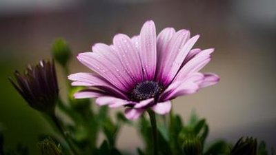 沈阳试管花多少钱左右