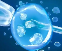 生殖热门焦点！南昌做三代试管婴儿的成功率高吗？