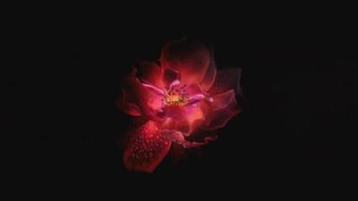 广州白云区哪里可以做试管婴儿？
