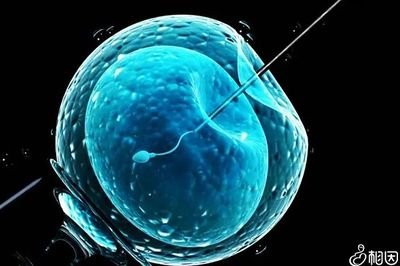 沈阳三代试管婴儿一次成功的多吗；成功率大概是多少呢？