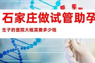 石家庄未婚试管需要多少费用